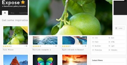 [themeforest主题]WordPress图片主题：Expose