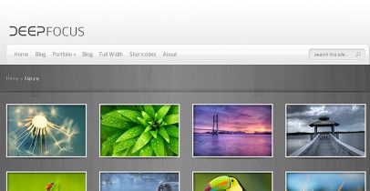 Elegantthemes豪华大气wordpress图片主题-DeepFocus