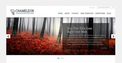 Elegantthemes wordpress企业主题-Chameleon