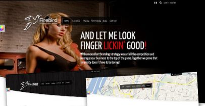 ThemeForest wordpress企业主题-Firebird