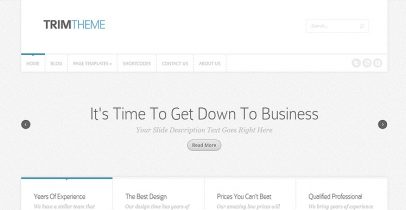 ElegantThemes工作室/企业类wordpress主题 – Trim