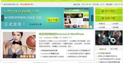 WordPress cms主题 - lovnvns