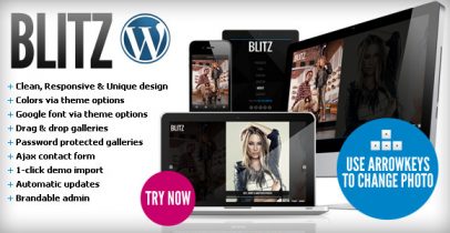 ThemeForest wordpress图片主题 - Blitz