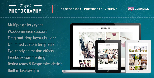 Wordpress图片主题 - Tripod