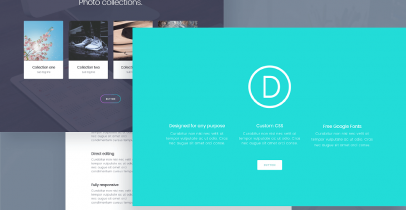 Divi v3.0.67 + Divi builder v2.0.29 Elegantthemes WordPress主题