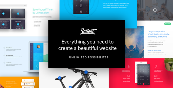 Salient 极具创意的wordpress企业主题