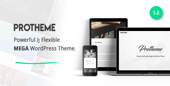 Protheme 强大的wordpress企业主题