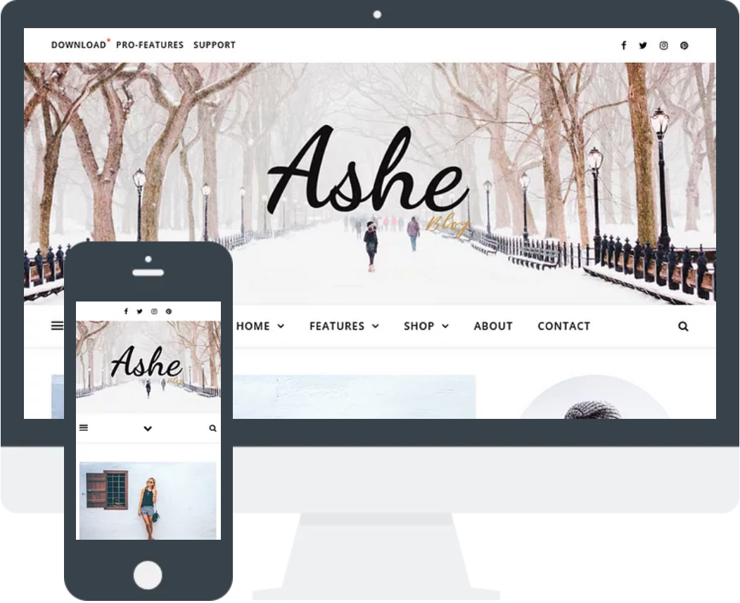 Ashe – 免费博客主题 WordPress主题