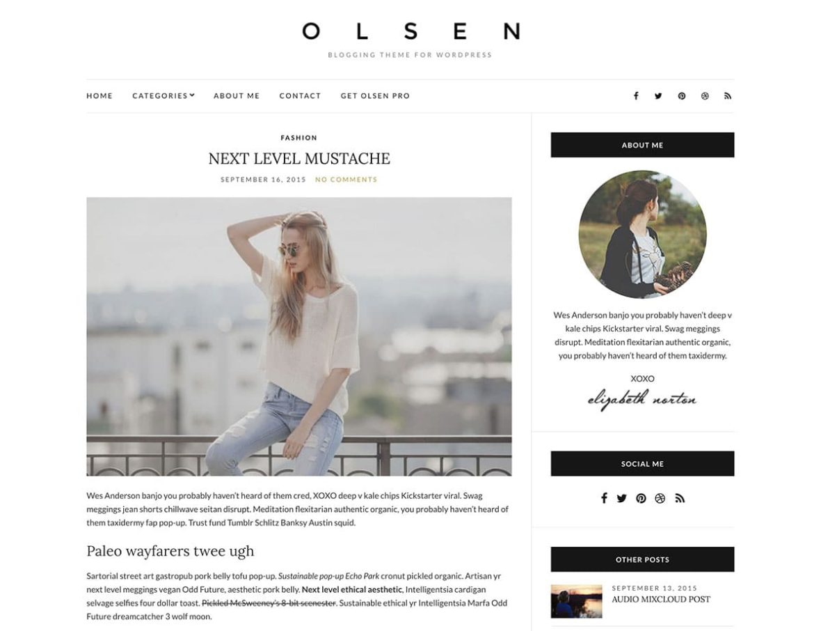 Olsen Light 干净简约的免费WordPress 博客主题