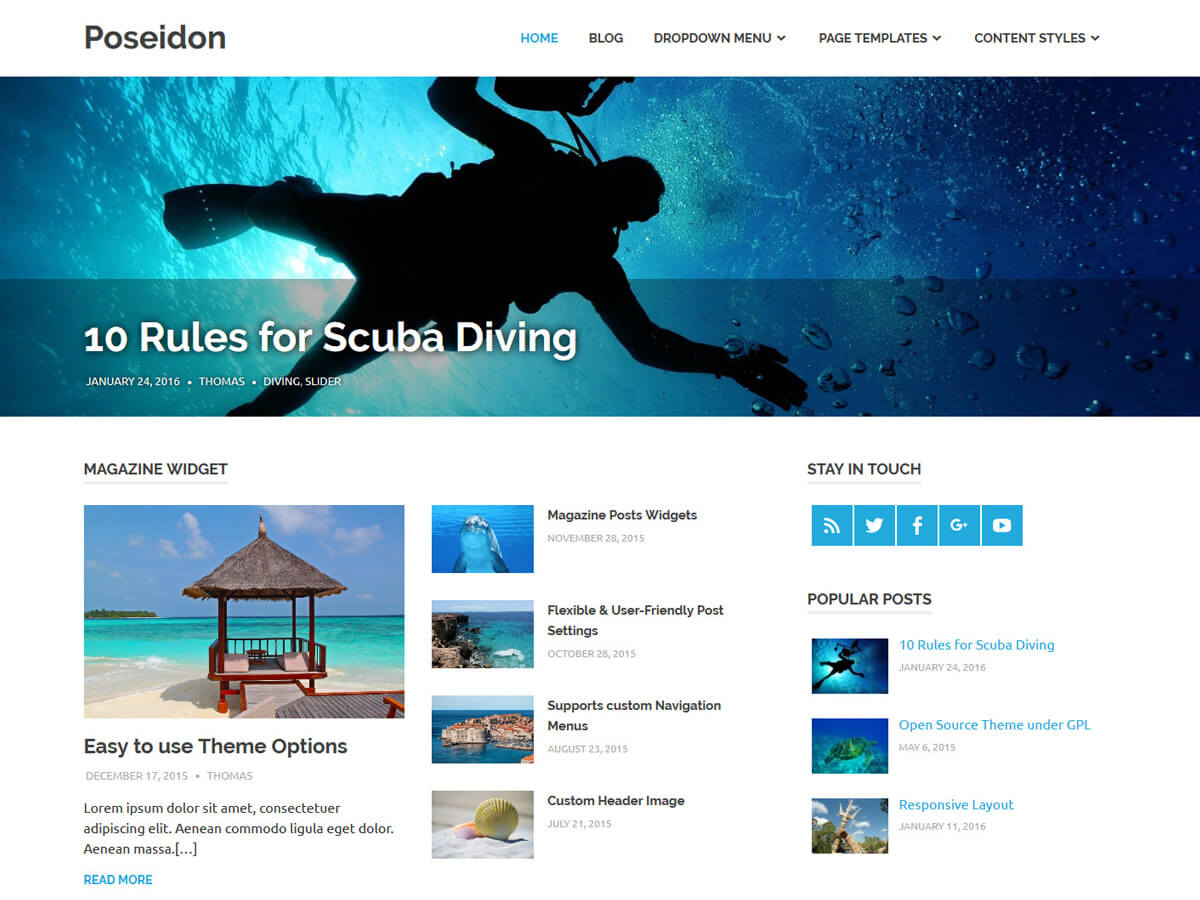 Poseidon 简单的免费WordPress博客主题