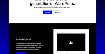 Frost  适合时尚而复杂的WordPress网站
