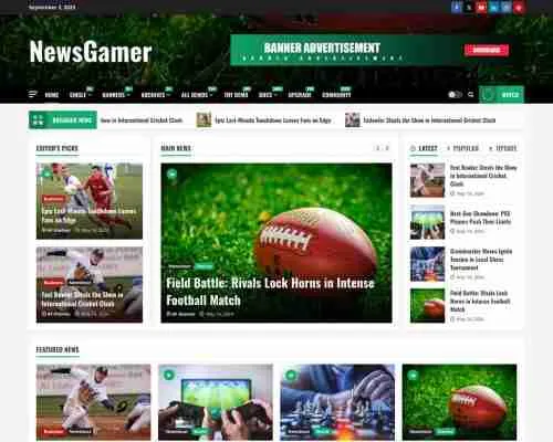 NewsGamer 免费的游戏博客类主题